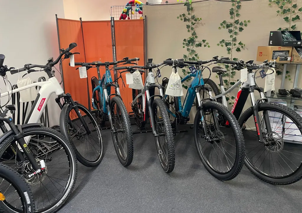 Auswahl neuer E-Bikes bei Kraft Bike in Plochingen